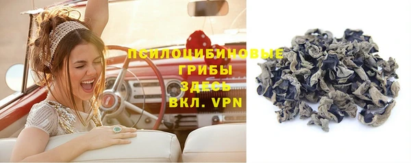 стафф Белокуриха