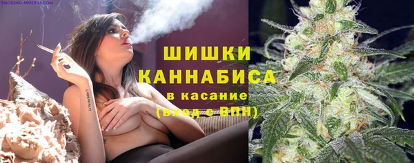 стафф Белокуриха